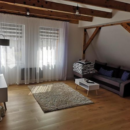 Apartament Attic 米兹多洛杰 外观 照片